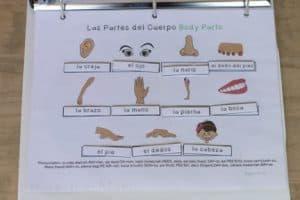 body parts