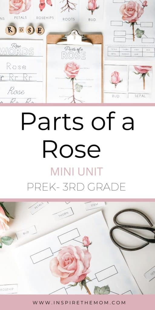 parts of a rose unit pin