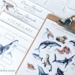 ocean animals for kids - inspire the mom