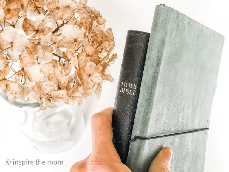 30 Powerful Psalms Of Thanksgiving Inspire The Mom
