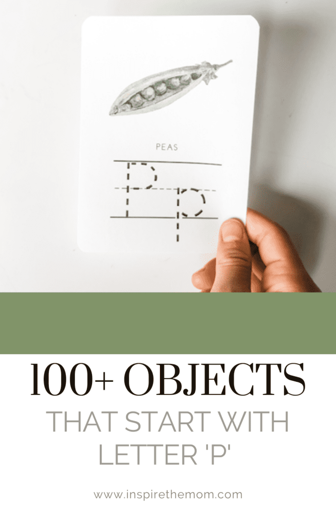 100+ Objects That Start With P
