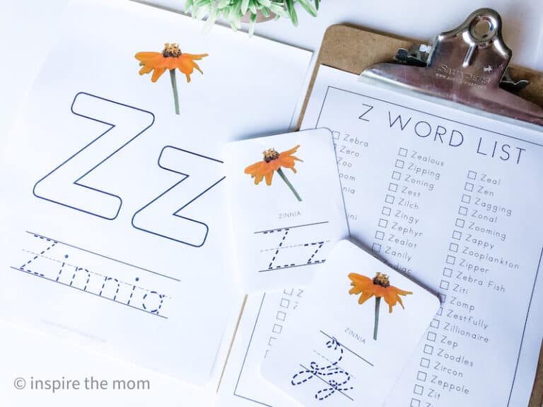 100+ Objects That Start With Z