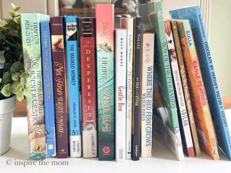 100+ Incredible Books for 5th Grade Boys (cover). www.inspirethemom.com