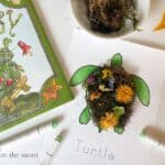 Mossy Garden on a Turtle’s Shell. Inspired by Jan Brett's Mossy. www.inspirethemom.com