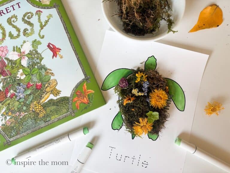 Mossy Garden on a Turtle’s Shell. Inspired by Jan Brett's Mossy. www.inspirethemom.com