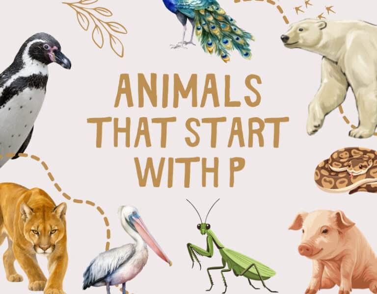 Kid-Friendly Facts and Picture Book Suggestions for Learning. Cover. www.inspirethemom.com