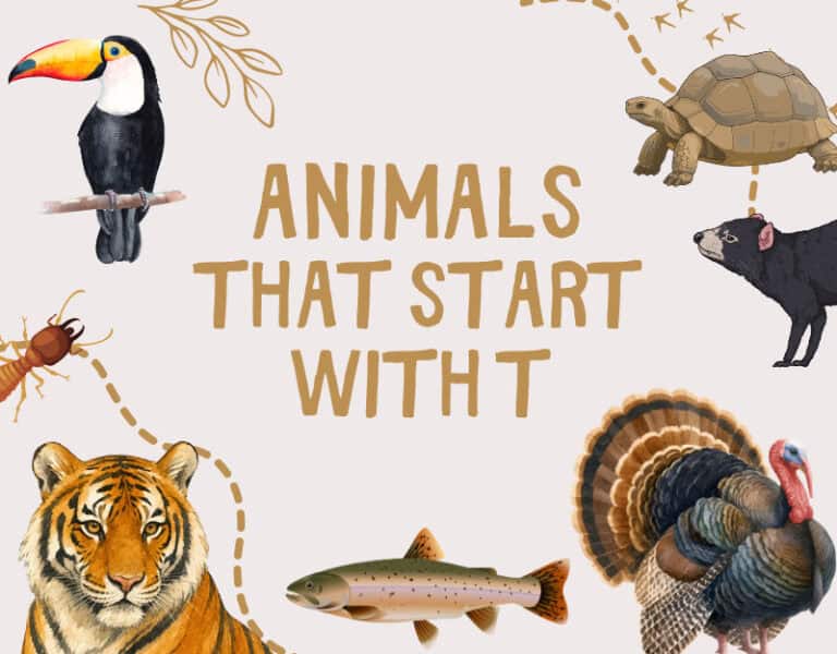 Animals That Start With T: Kid-Friendly Facts and Picture Book Suggestions for Learning. Cover www.inspirethemom.com
